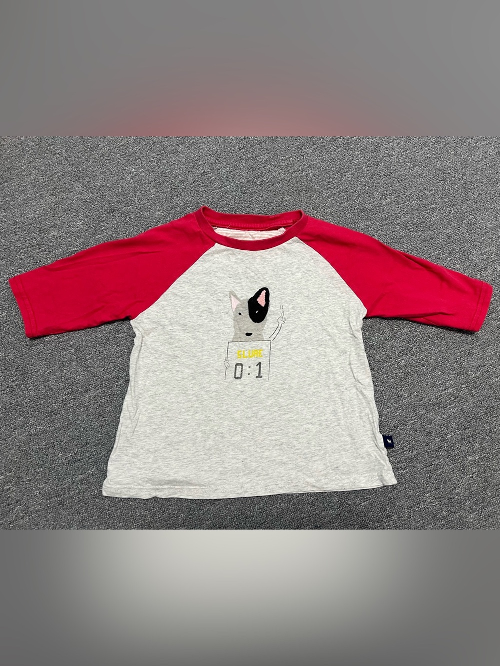 Kids Raglan Tee with Puppy Graphic - Red Sleeves 4-5T